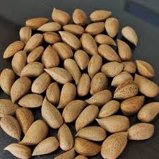 تصویر 1 از بادام سنگی مرغوب خرید به صرفه
